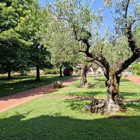 B&B Villa Sbaraglia Alatri Exterior foto